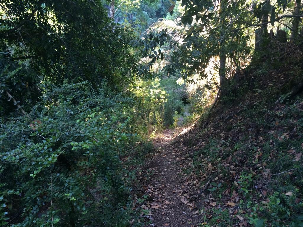 Ecoreserva Quelhue Y