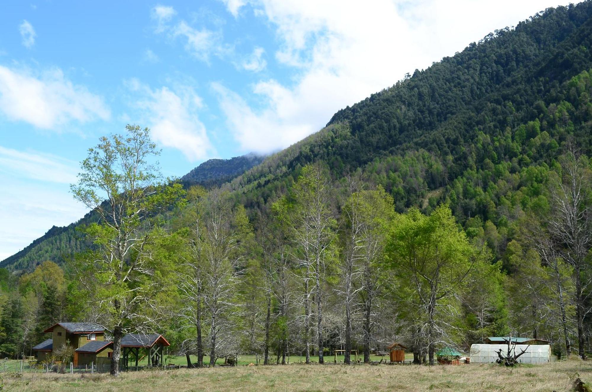 Ecoreserva Quelhue Y Lodge Pucon