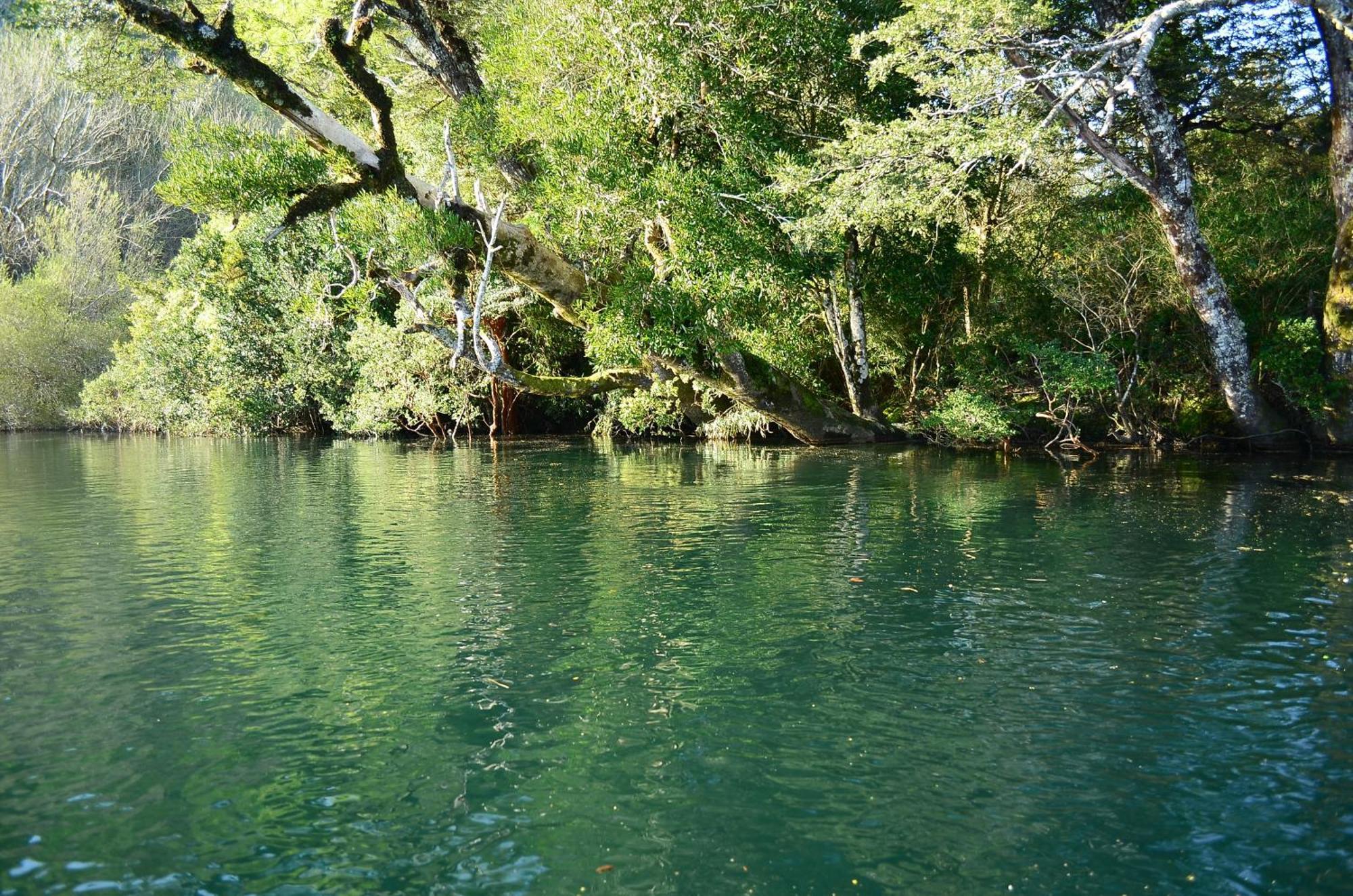 Ecoreserva Quelhue Y Lodge